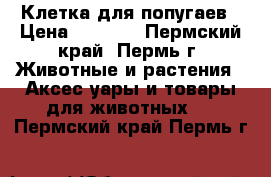 Клетка для попугаев › Цена ­ 2 000 - Пермский край, Пермь г. Животные и растения » Аксесcуары и товары для животных   . Пермский край,Пермь г.